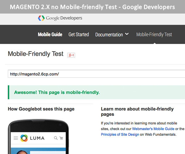 magento 2 mobile friendly test