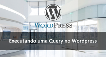 Como executar um Query no WordPress