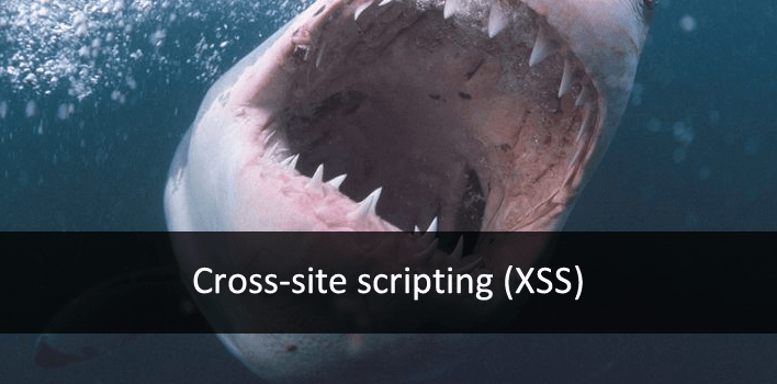 O que é Cross-site Scripting “XSS”