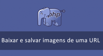 Baixar e salvar imagens de uma URL com PHP